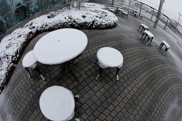 初雪と椅子とテーブル