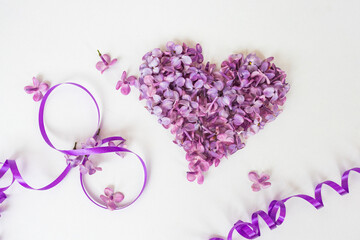 Creative greeting card background banner for March 8, with lilac flowers and ribbons on a white background, International Women's Day