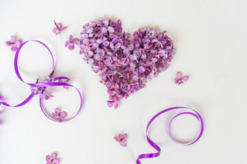 Creative greeting card background banner for March 8, with lilac flowers and ribbons on a white background, International Women's Day