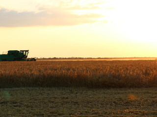Combine harvester on an agricultural field against the backdrop of the setting sun