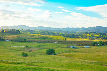 Fototapeta na wymiar New Zealand farming industry in North Island countryside.