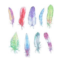 set of fluffy colorful feathers