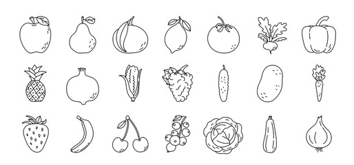 Fruit and vegetable sketch. Pineapple, apple, pear and tangerine. Radish, pepper, pomegranate and corn. Grape, cucumber, potato and banana. Black line icon collection. Vector illustration set