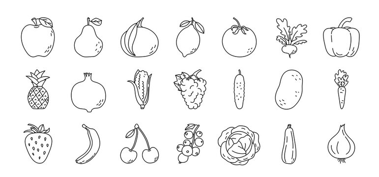 Fruit and vegetable sketch. Pineapple, apple, pear and tangerine. Radish, pepper, pomegranate and corn. Grape, cucumber, potato and banana. Black line icon collection. Vector illustration set