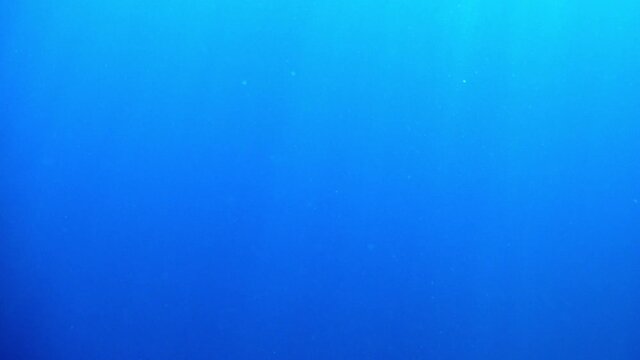 Beautiful submerged underwater ocean light plays VFX element. Particles, marine snow, calm tropical ocean scene background.