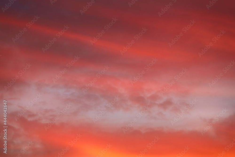 Canvas Prints sky at sunset. clouds of orange. background for designer