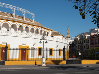 Plaza toros de Sevilla Real maestranza con giralda al fondo.