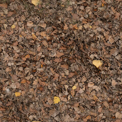 leaves  texture rustic for archviz and video games