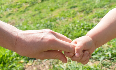 Naklejka na ściany i meble a parent holds the hand of a small child. The child is holding his mother's hand. The concept of the Children's Day . Children's Day, Mother's Day