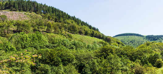 Fototapeta na wymiar Cwmcarn Forest Mountains. Welsh Valleys Landscape.