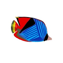 fish red blue
