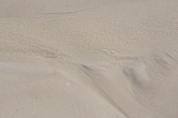 Fototapeta na wymiar sand on the Baltic beach on the edge of the water