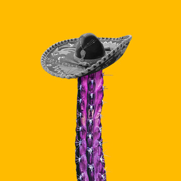 Creative composition. Long purple cactus wearing mexican bw hat. Copyspace for advertisement