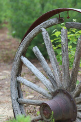 Old Part of Horse Drawn Wagon Wheel Rusty Antique Abandoned  in Desert with Overgrowth