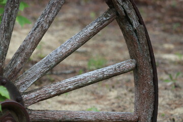 Old Part of Horse Drawn Wagon Wheel Carriage Rusty Antique Abandoned  in Desert with Overgrowth