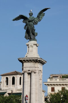 Seagull landed on an angel statue, Rome, Italy. Nature and art in the city.