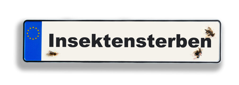 Insektensterben, Symbolbild Auto Kennzeichen mit toten Fliegen.
