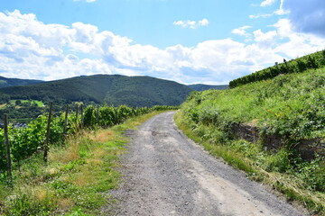 Weinbergsstraße im Ahrtal 