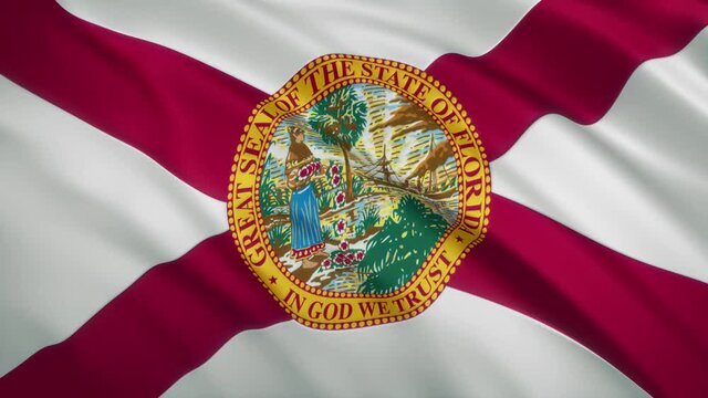 Florida - Waving Flag Video Background