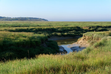 Maye river in the bay of the Somme