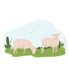 Lovely country rural landscape, Sheep graze, flowers, pasture. Country pet lamb. Isolated character on a white background. Vector illustration in a flat style.