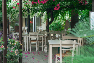 Fototapeta na wymiar Chairs and tables in an outdoor cafe on a narrow street in Larnaca, Cyprus. Nobody.
