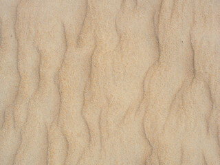 Drawing of the wind on the sand. Sand beach.