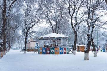 swing in the snow 3