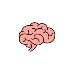 Human brain vector icon illustration, brain symbol in line style isolated on white background