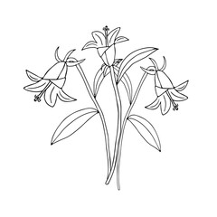 Black Vector illustration of bouquet bell flowers with leaves isolated on a white background
