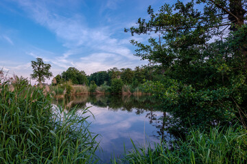 Spaziergang am Fischteich