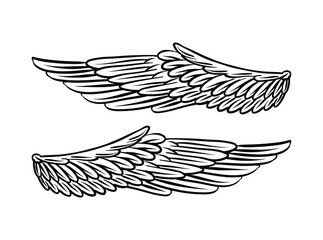 Illustration of wing for branding and logo element