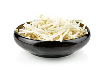 Fresh Enoki mushroom, Enokitake, Golden needle mushroom , lily mushroom (Flammulina velutipes) isolated on white background