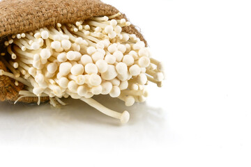 Fresh Enoki mushroom, Enokitake, Golden needle mushroom , lily mushroom (Flammulina velutipes) isolated on white background