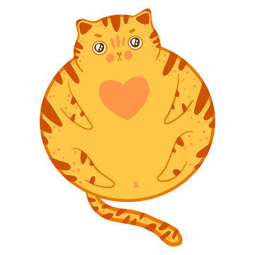 Cute cartoon fat vector cat