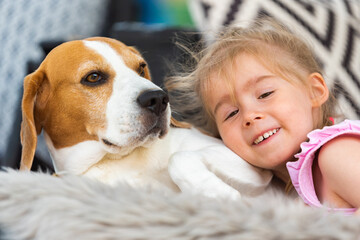 Child cuddle a dog on backyard sofa. Happy childhood with beagle pet.