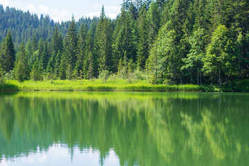 a small mountain lake in the summer forest