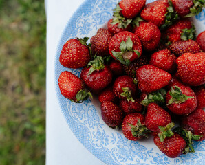 Fresh strawberries in a plate on a garden table, top view