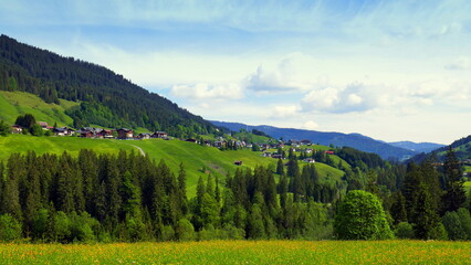 Fototapeta na wymiar Aussicht im Kleinwalsertal auf Dorf Mittelberg umrahmt von grünen Wiesen und Wald unter blauem Himmel