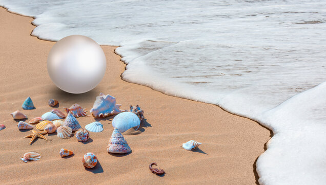 A pearl between the sea waves and sea foam with seashells of different shapes and colors