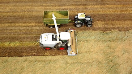 Feldhäcksler und Traktor mit Anhänger bei der Ernte auf einem Feld, Erntearbeiten,...