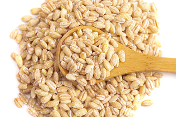 Pile of Barley Wheat Isolated on a White Background
