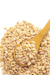 Pile of Barley Wheat Isolated on a White Background