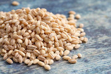 Pile of Barley Wheat on a Rustic Blue Table