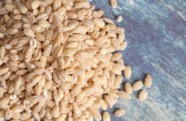 Pile of Barley Wheat on a Rustic Blue Table