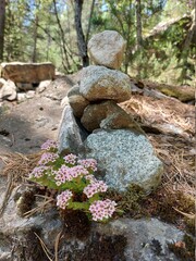 stone and flowers
