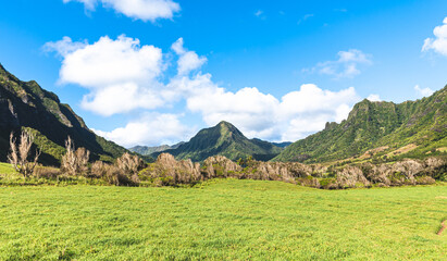 landscape in the summer of Kualoa Ranch Mountains  
