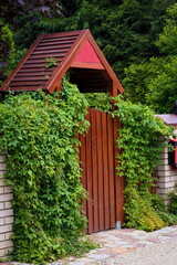 Gate covered with ivy at the entrance to a rural garden 