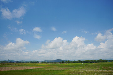 Fototapeta na wymiar Cumulus Clouds above the fields on a clear day. Clouds with Vertical Development.