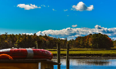 Fall leaves in Scarborough Maine. 